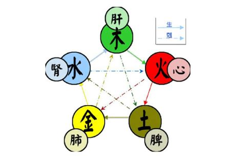 五行木代表|五行（对万事万物的取象比类）